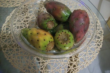 opuncja figowa czyli figa berberska
