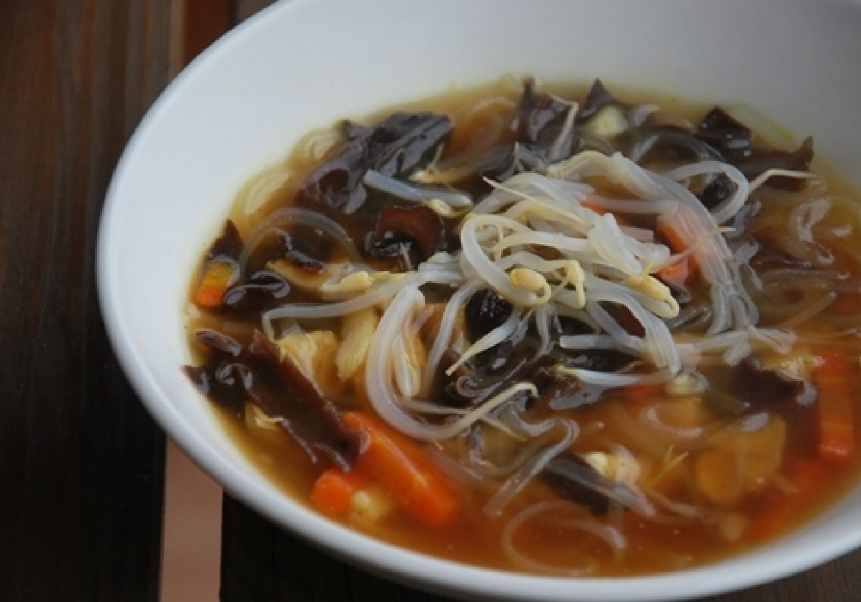 Orientalna zupa z kurczakiem foto