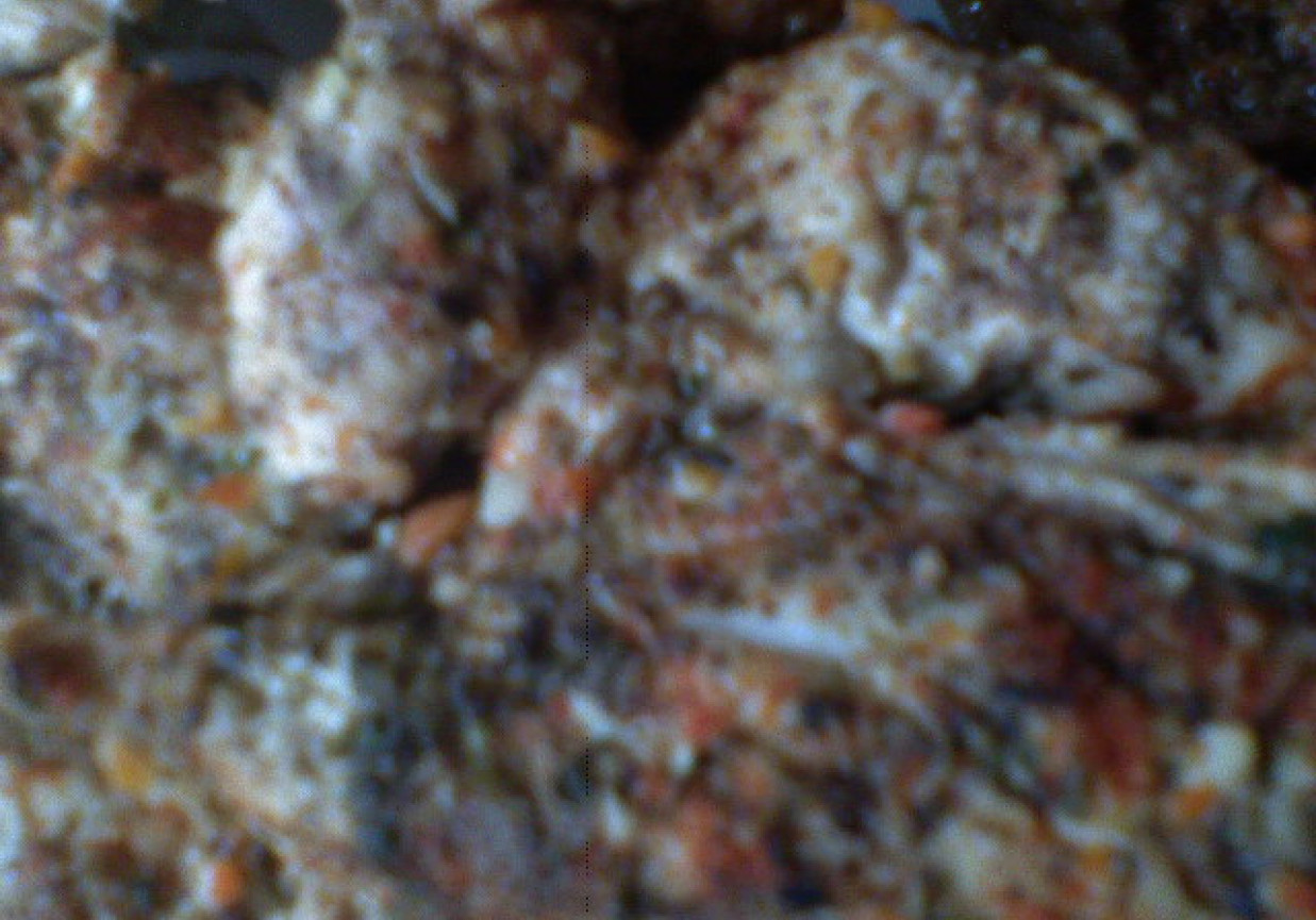 Ostry kurczak gotowany w parowarze foto