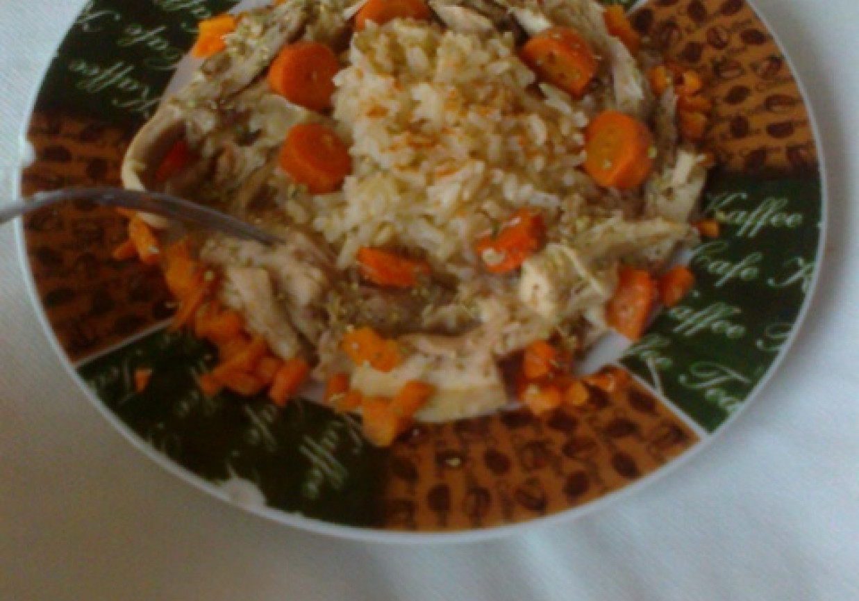 Ostry ryż z królikiem i marchewką foto
