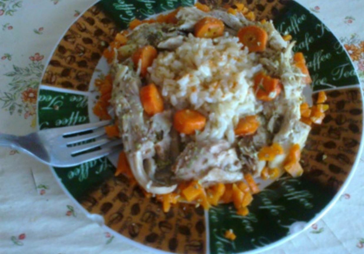 Ostry ryż z królikiem i marchewką foto