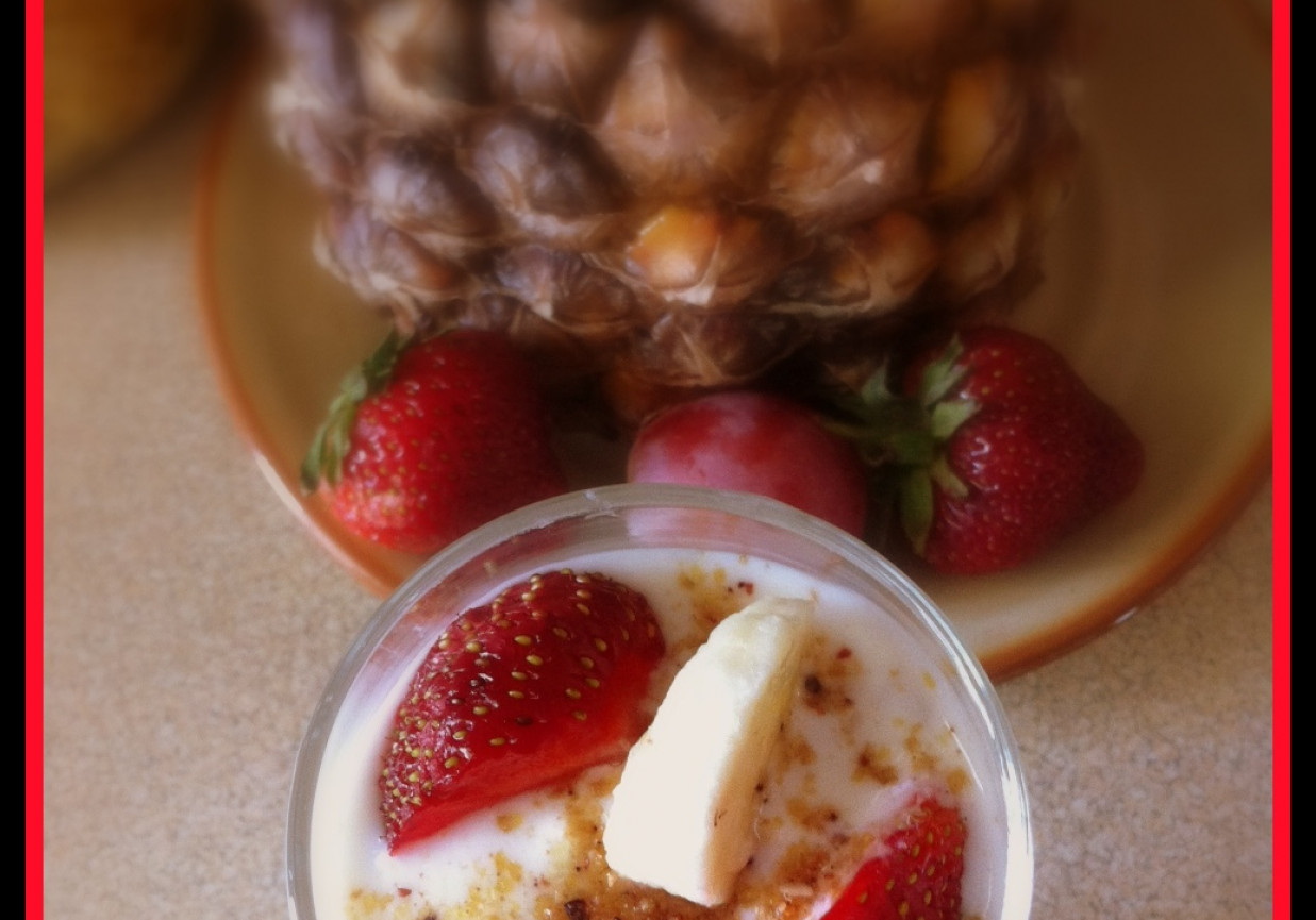 Owocowe mussli z jogurtem foto