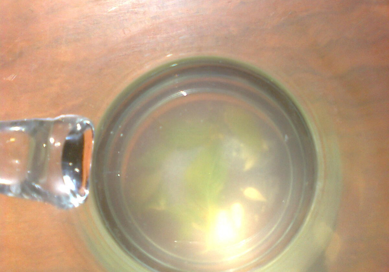 ożeźwiająca woda z cytryną foto