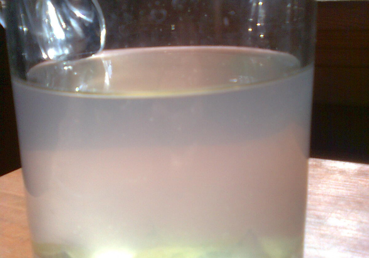 ożeźwiająca woda z cytryną foto