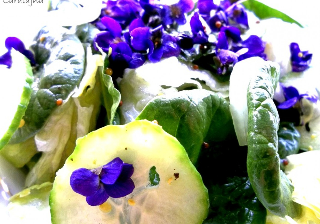 pachnąca sałatka wiosenna (ze szpinakiem i fiołkami) foto