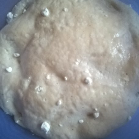 Krok 1 - Pączki z marmoladą z dzikiej róży foto