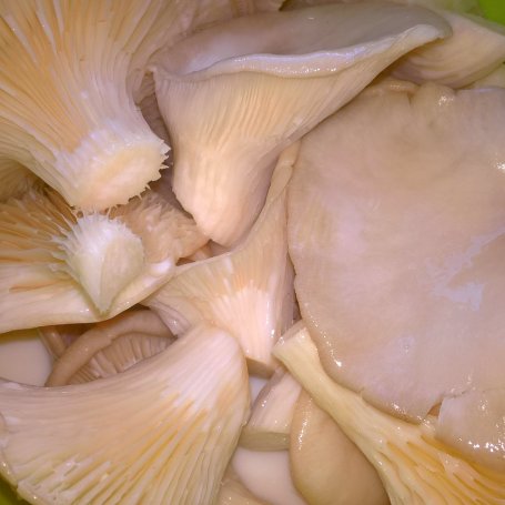 Krok 1 - Panierowane boczniaki foto
