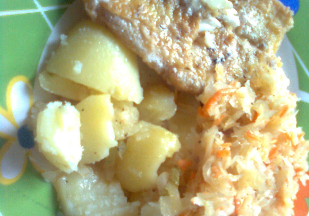 panierowany morszczuk foto