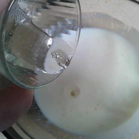 Krok 3 - Panna Cotta Fit z kiwi foto
