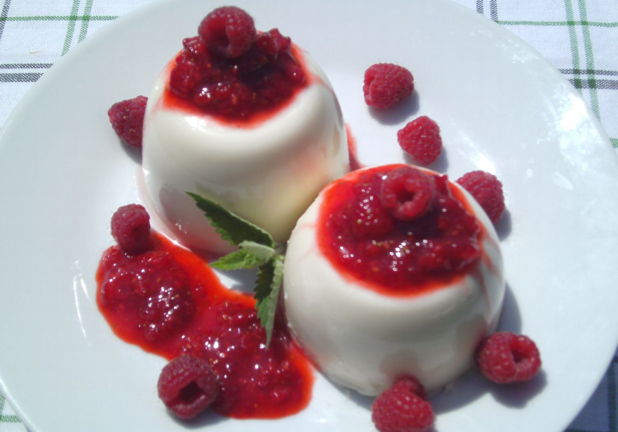Panna cotta z musem malinowym DoradcaSmaku.pl