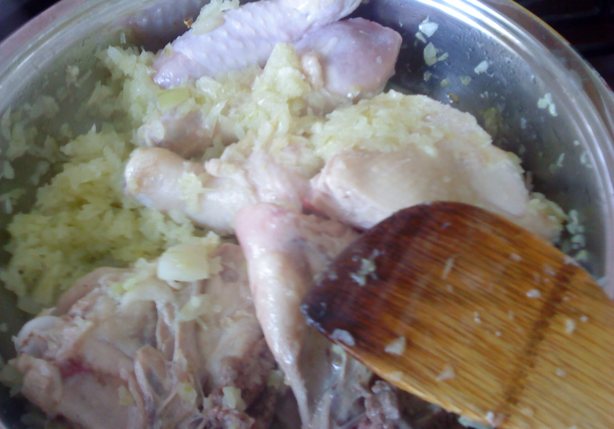 Paprykarz z kurczaka foto