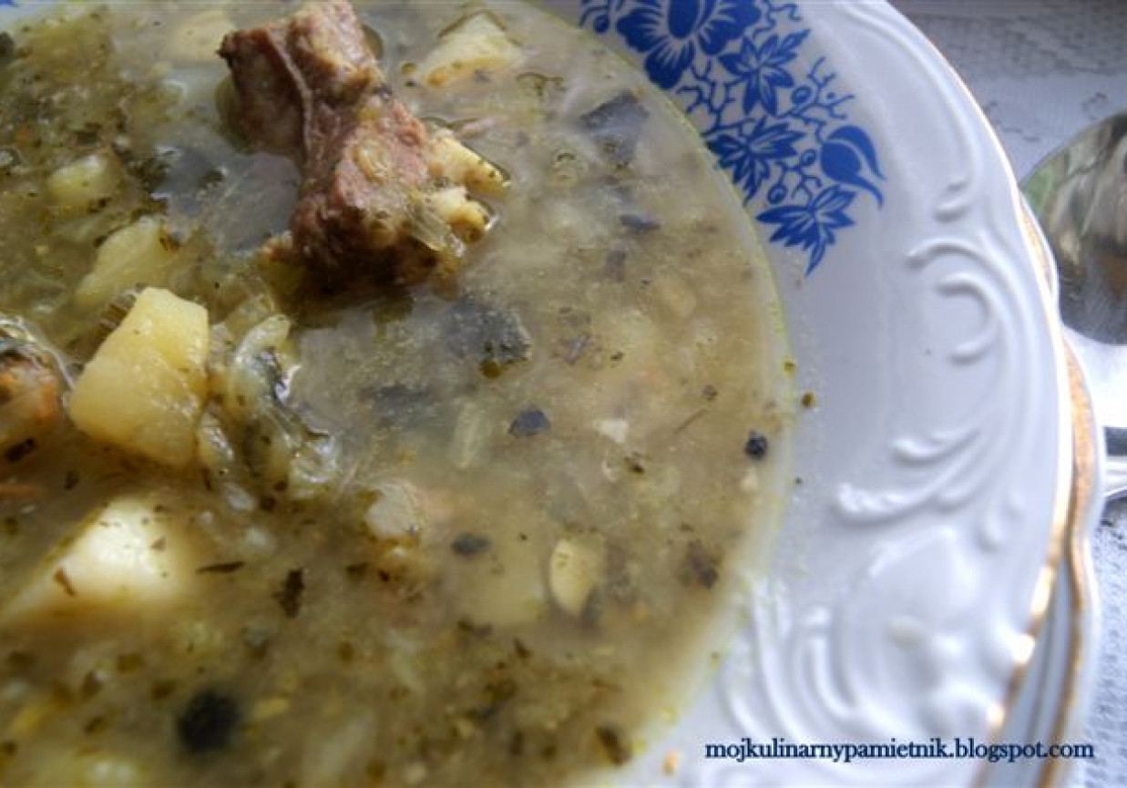 Parzybroda- śląska zupa foto