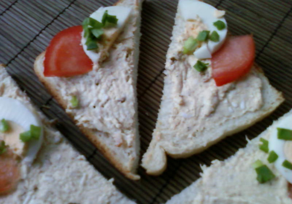 Pasta do kanapek z tuńczyka foto