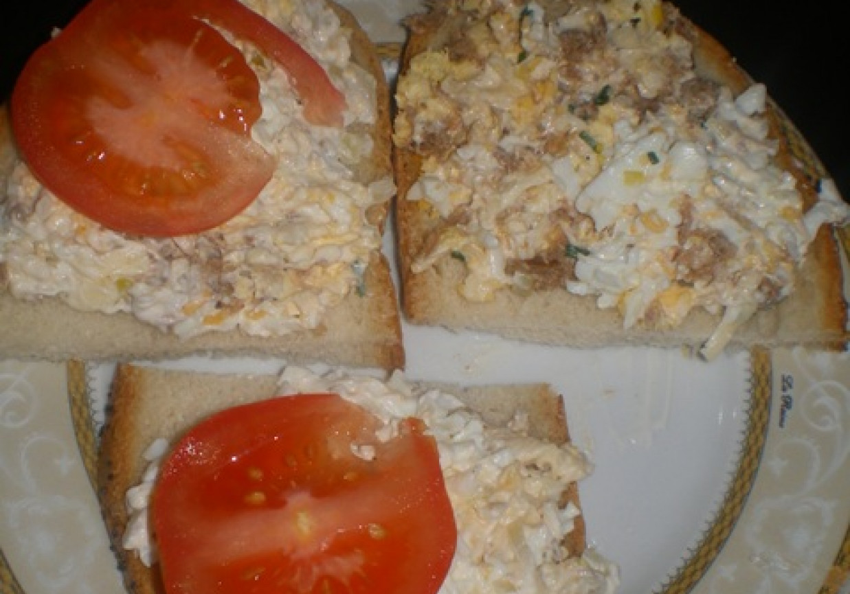 Pasta jajeczna z tuńczykiem DoradcaSmaku.pl