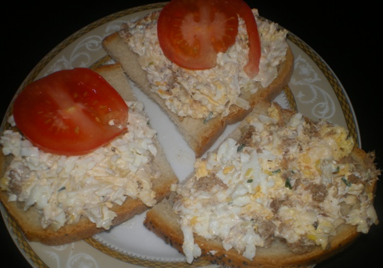 Pasta jajeczna z tuńczykiem DoradcaSmaku.pl