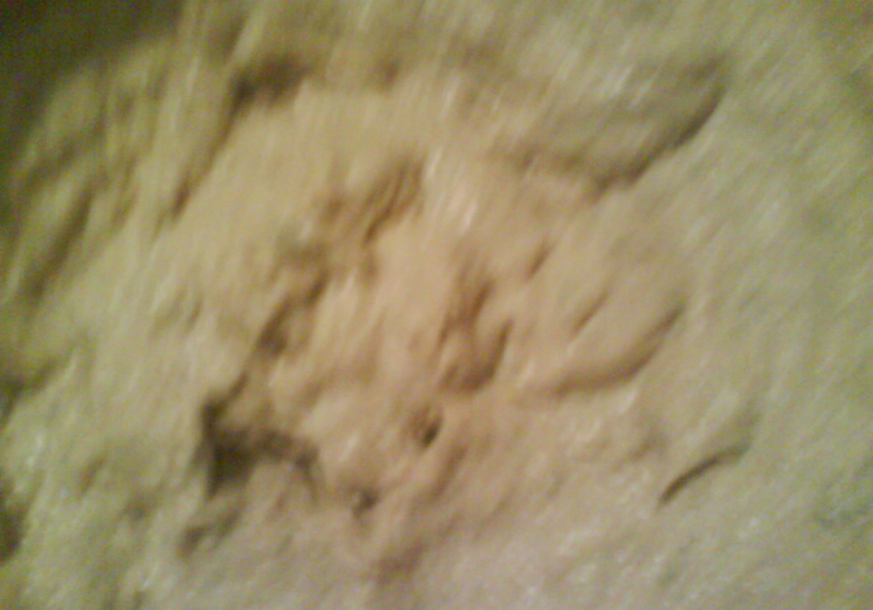pasta z makreli foto