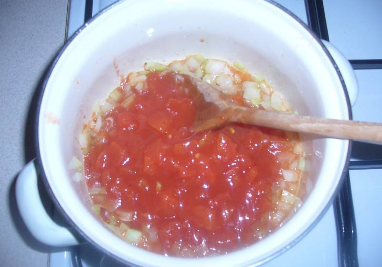 Pełnoziarniste penne z tuńczykiem i sosem pomidorowo – bazyliowym. foto