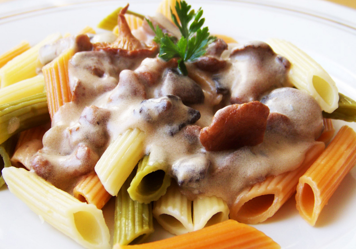 Penne tricolore w sosie grzybowo-serowym foto
