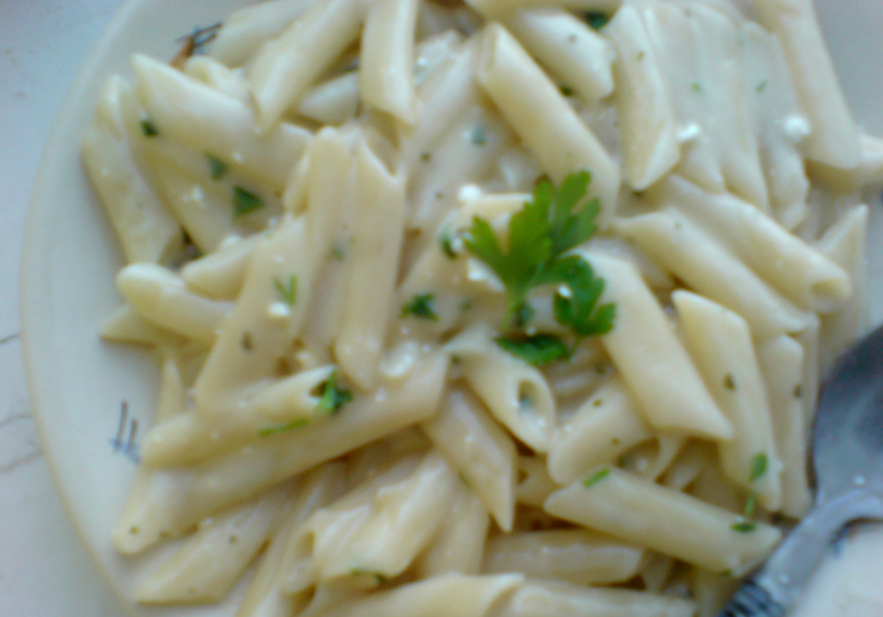 penne z sosem z wiejskim serkiem foto