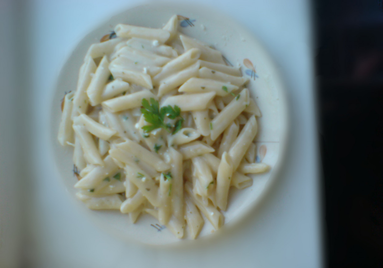 penne z sosem z wiejskim serkiem foto