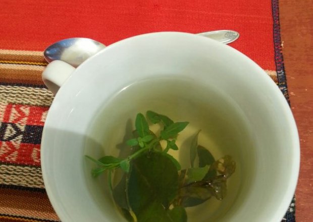 Peru - kulinarne przysmaki - herbata z "kokainą" foto