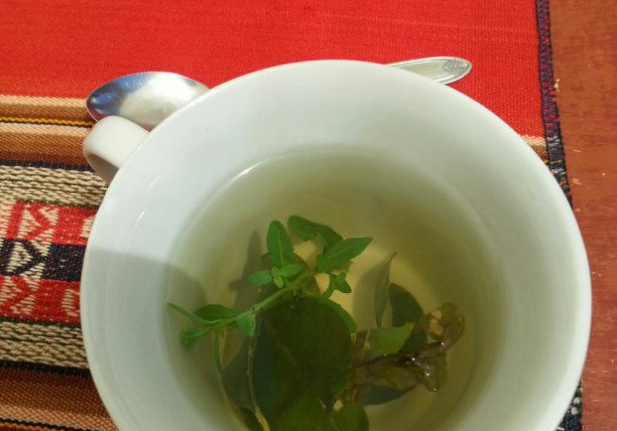 Peru - kulinarne przysmaki - herbata z "kokainą"