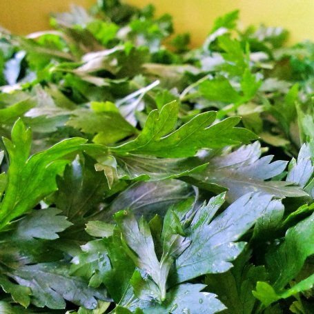 Krok 1 - Pesto w stylu polskim z suszoną cebulką foto