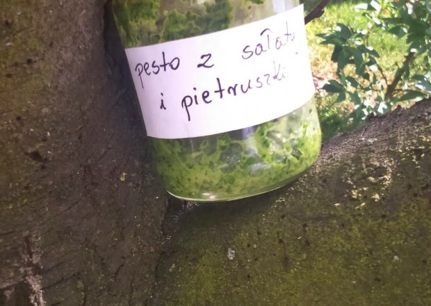 Fotografia przedstawiająca Pesto z sałaty, pietruszki i czosnku trochę na ostro :)