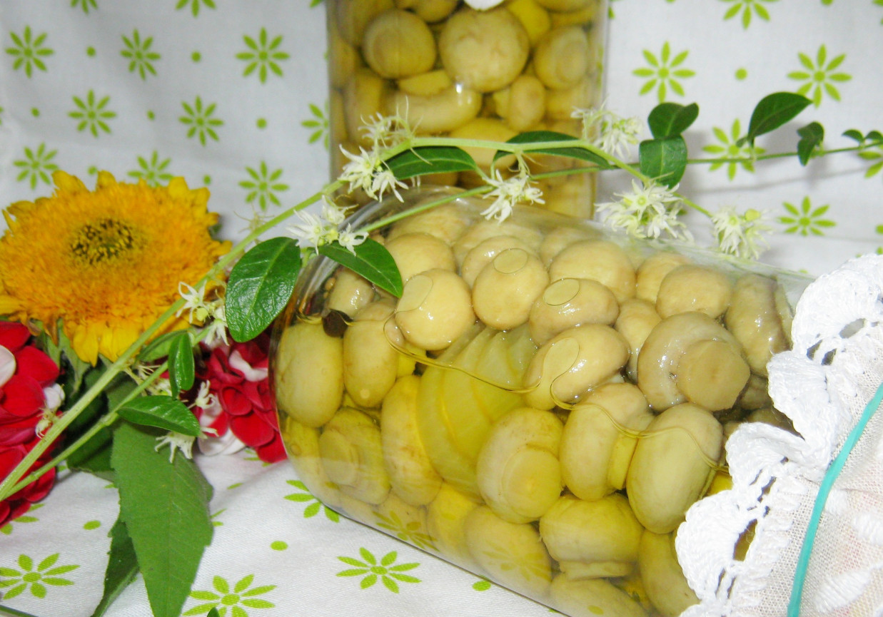 Pieczarki w zalewie foto