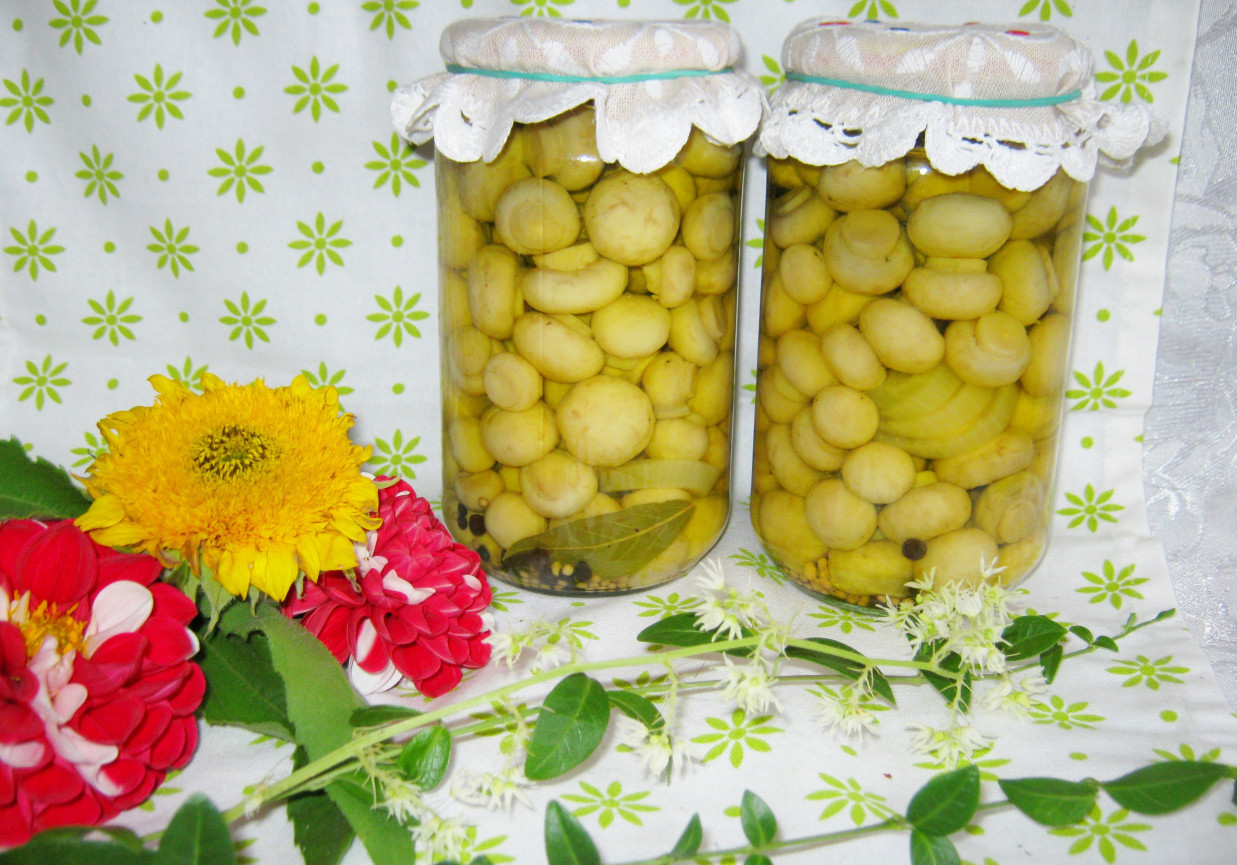 Pieczarki w zalewie foto