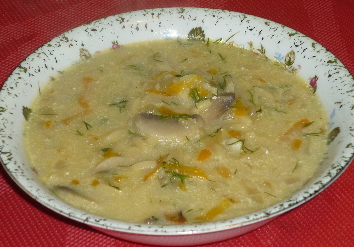 Pieczarkowa zupa z koperkiem foto