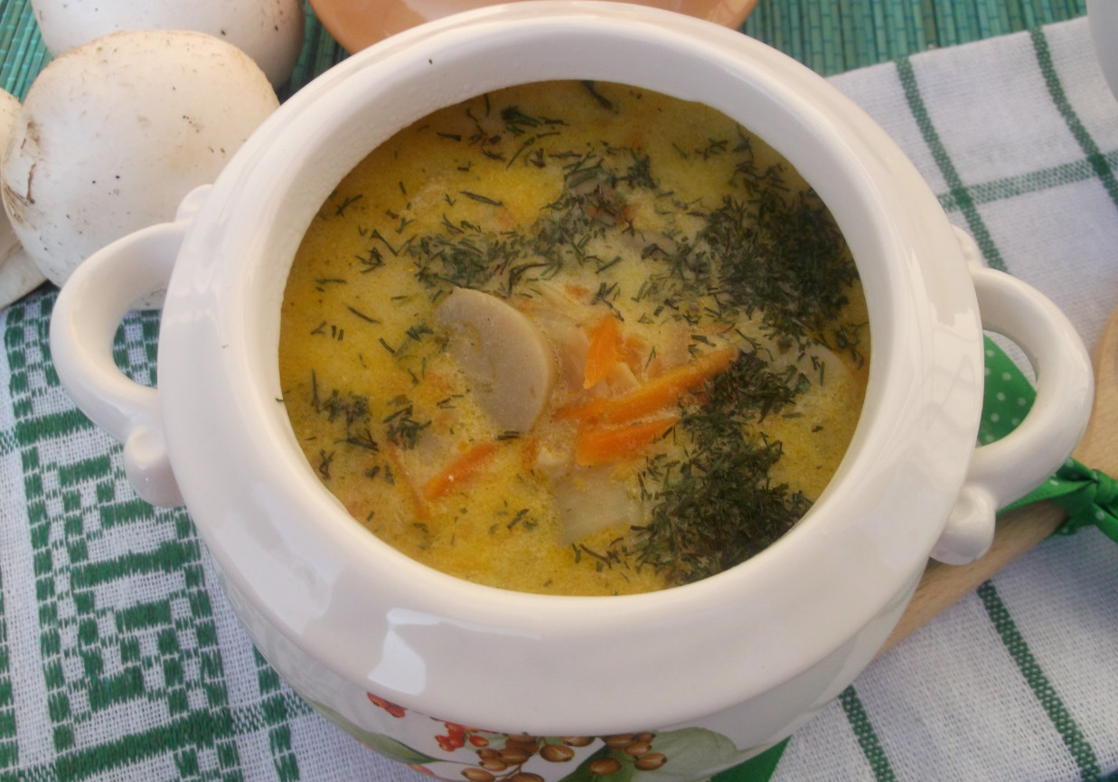 Pieczarkowa zupa. foto