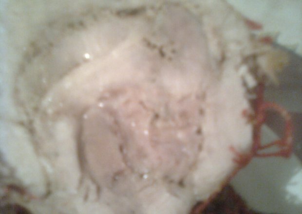 Fotografia przedstawiająca Pieczeń z mięsa mielonego