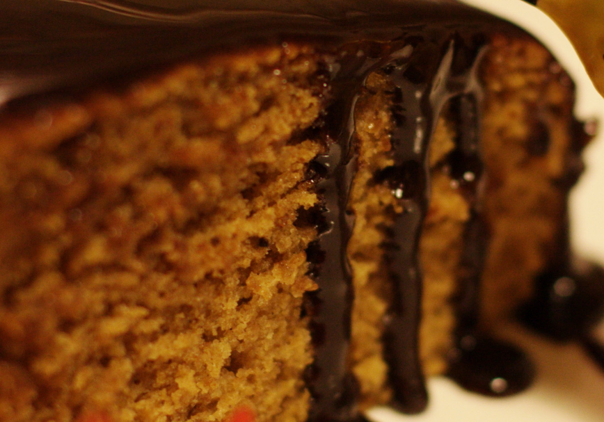 Piernik amerykański foto