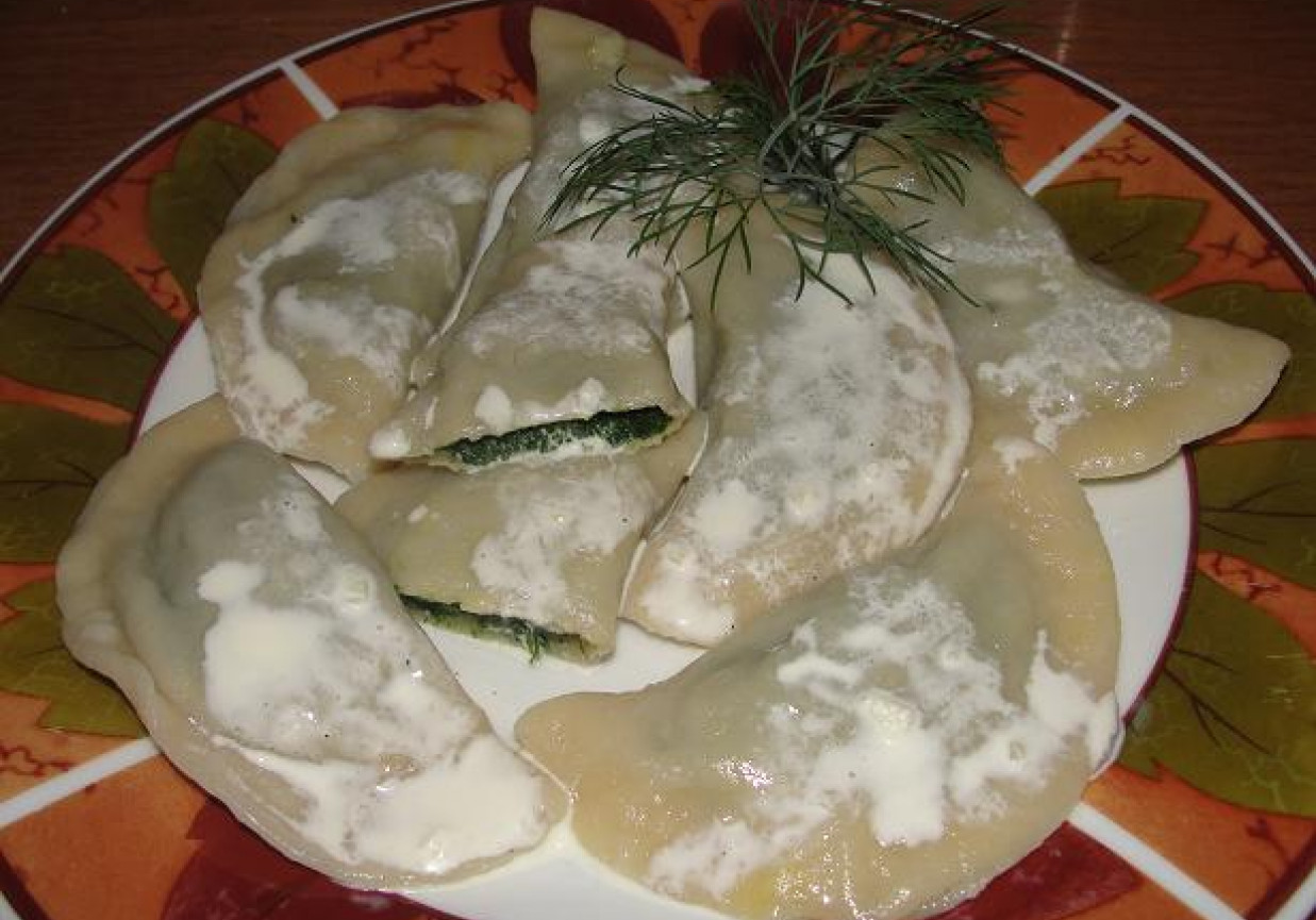 Pierogi z farszem szpinakowy foto