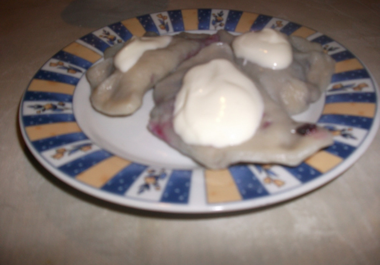 pierogi z jagodami eweliny foto