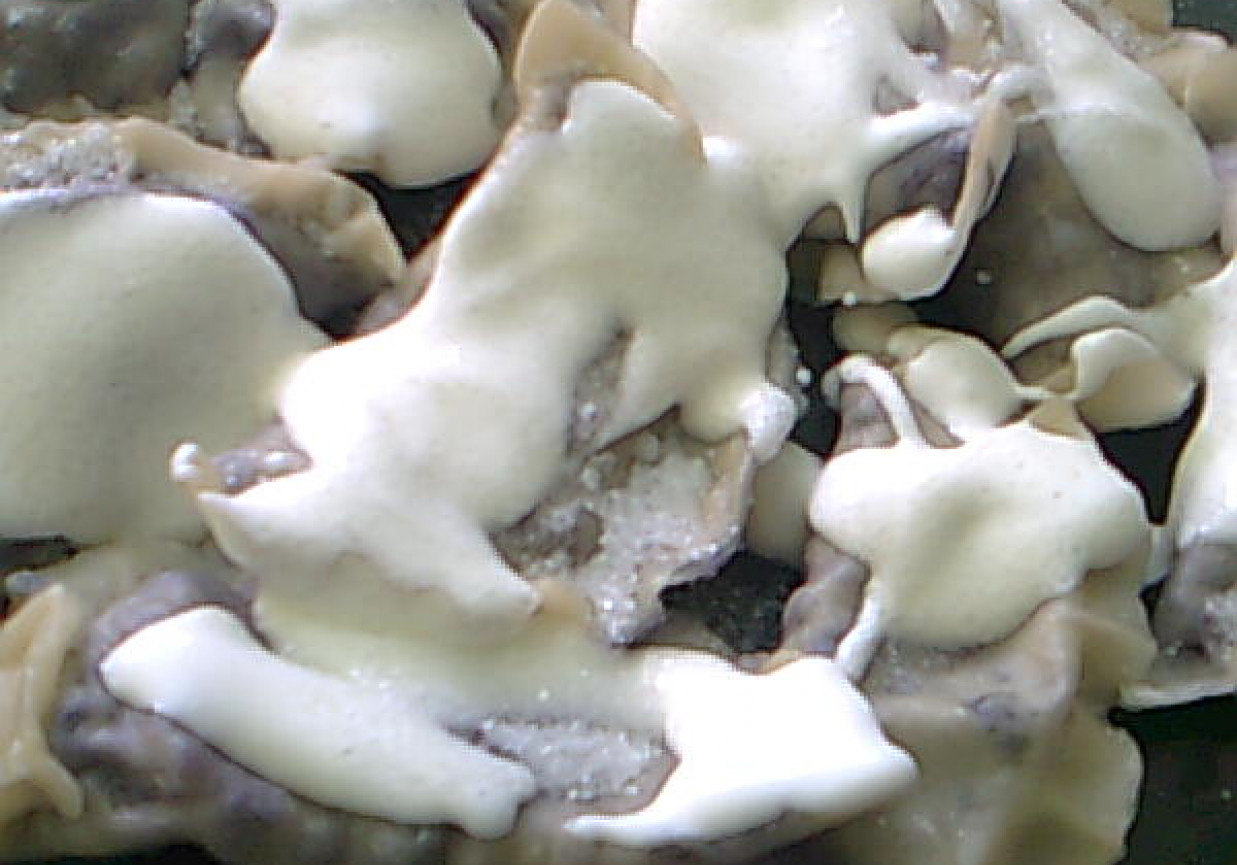 Pierogi z jagodami foto