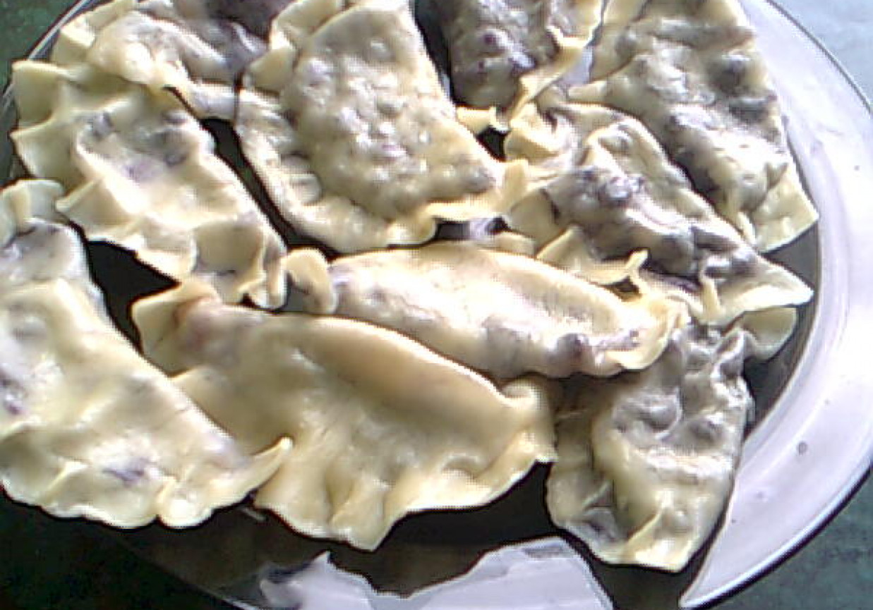 Pierogi z jagodami foto