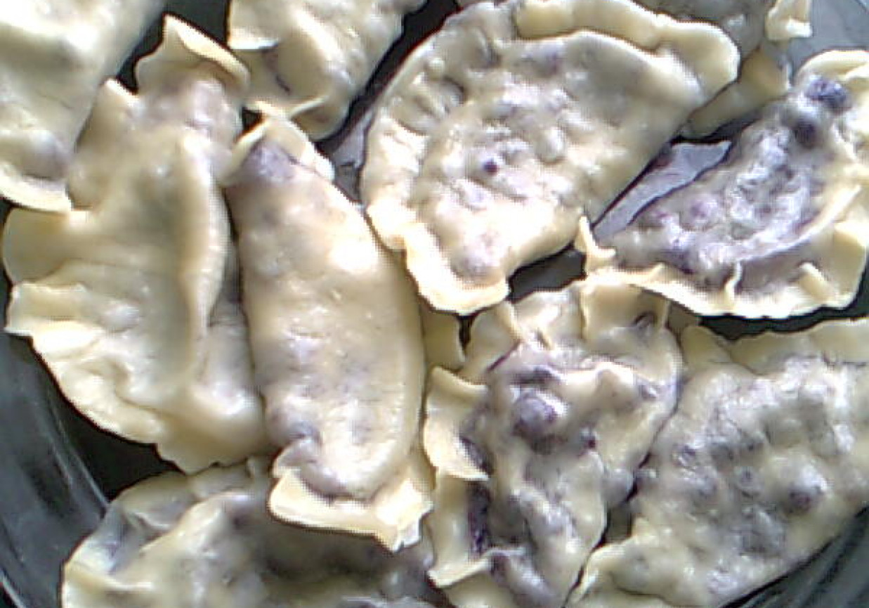 Pierogi z jagodami foto