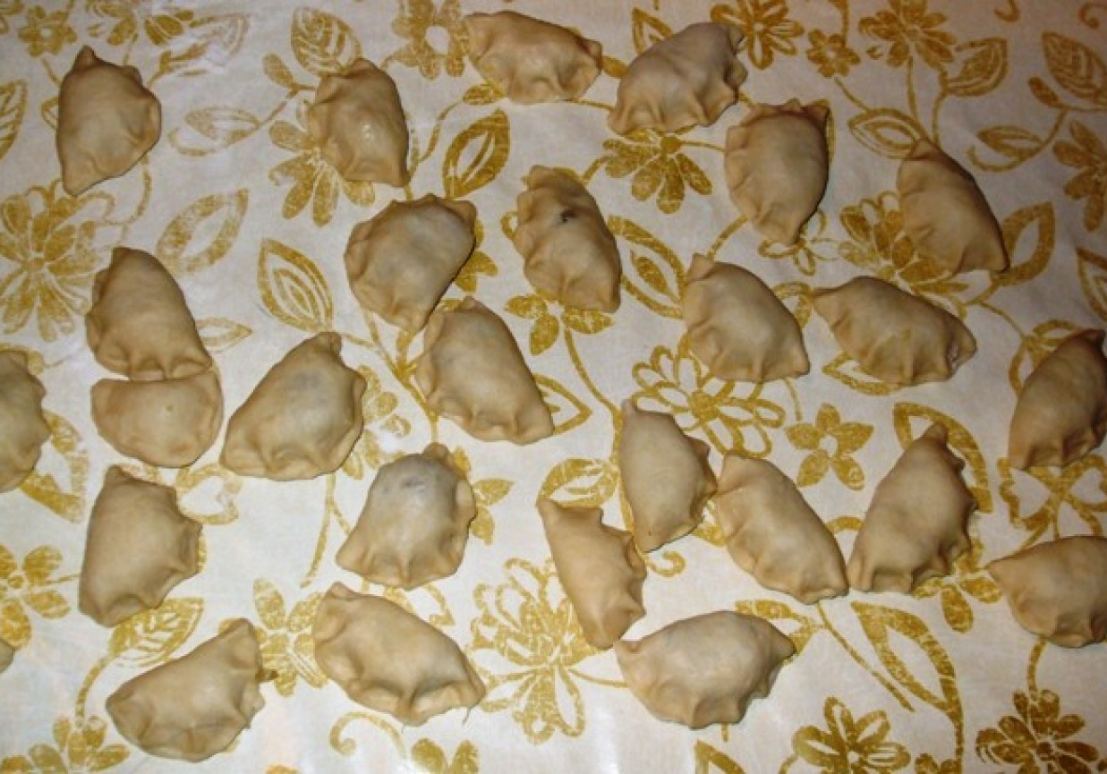 Pierogi z nadzieniem z kapusty słodkiej foto