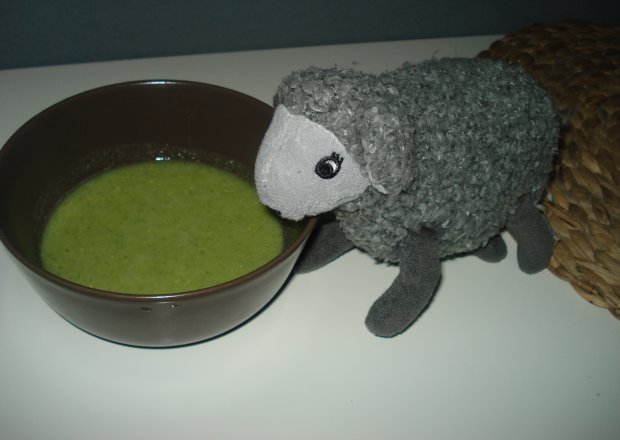 Fotografia przedstawiająca Pierwsza zupka- brokułowa z żółtkiem po 6 miesiącu