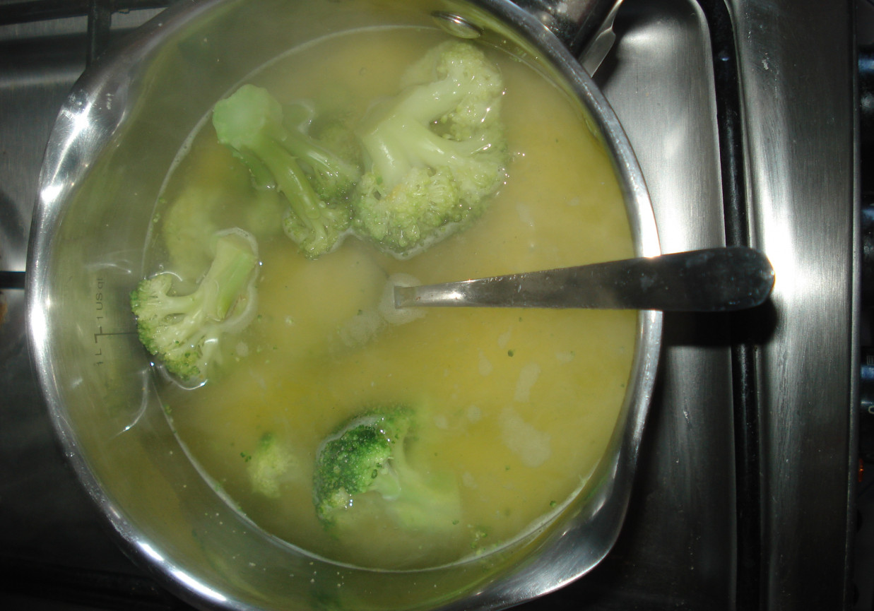 Pierwsza zupka malucha- brokułowa z kaszą kukurydzianą foto