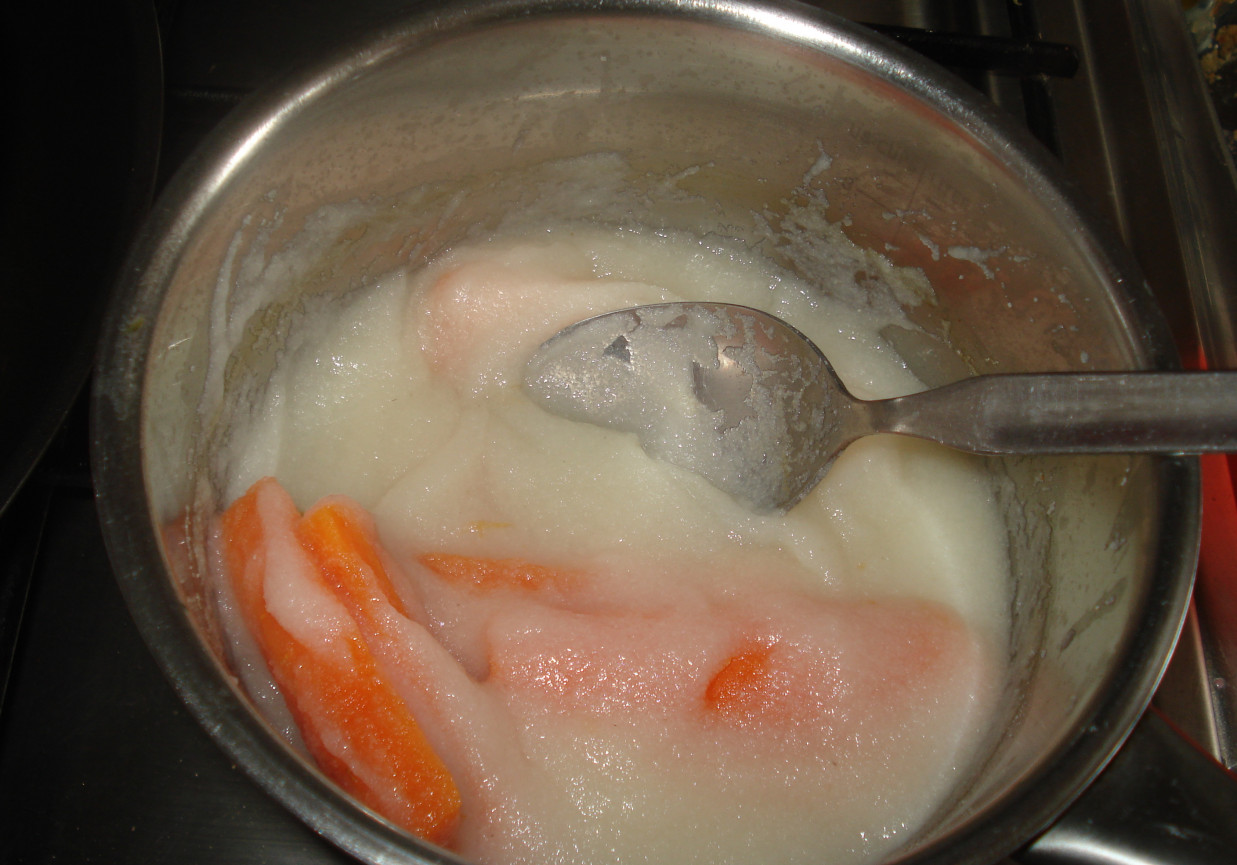 Pierwsza zupka- marchewkowa z kleikiem ryżowym  foto