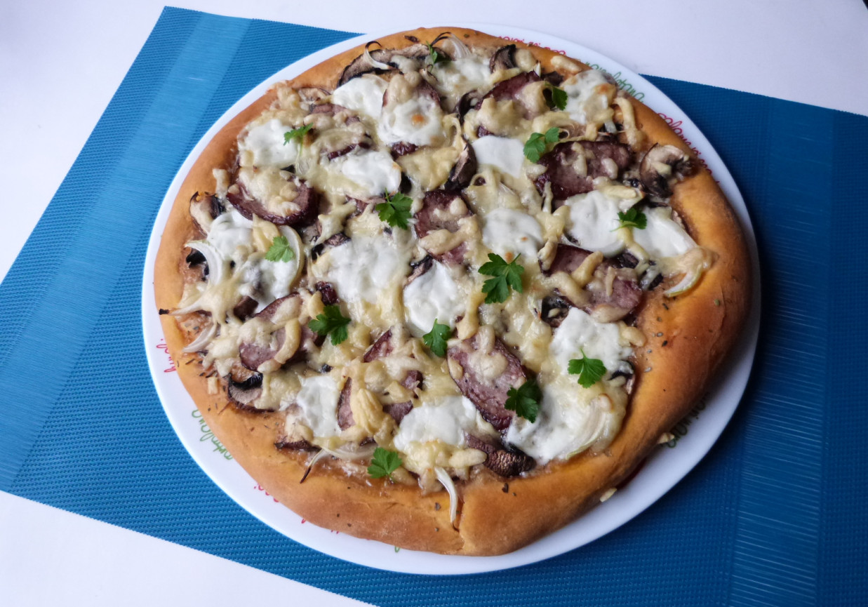 Pikantna pizza z mozzarellą foto