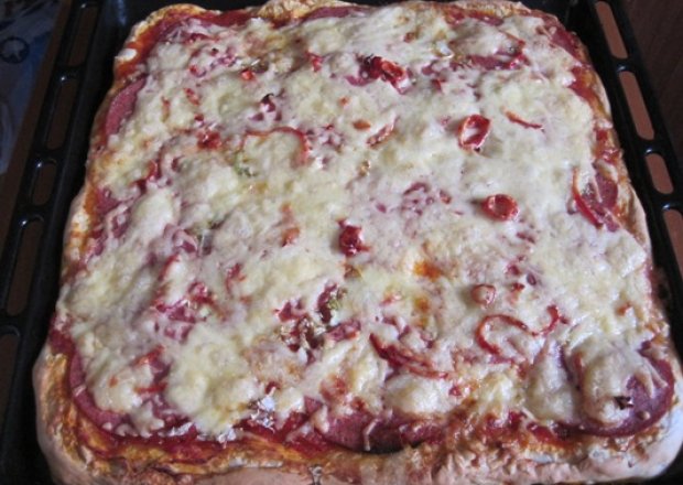 Fotografia przedstawiająca Pikantna pizza z salami i serem