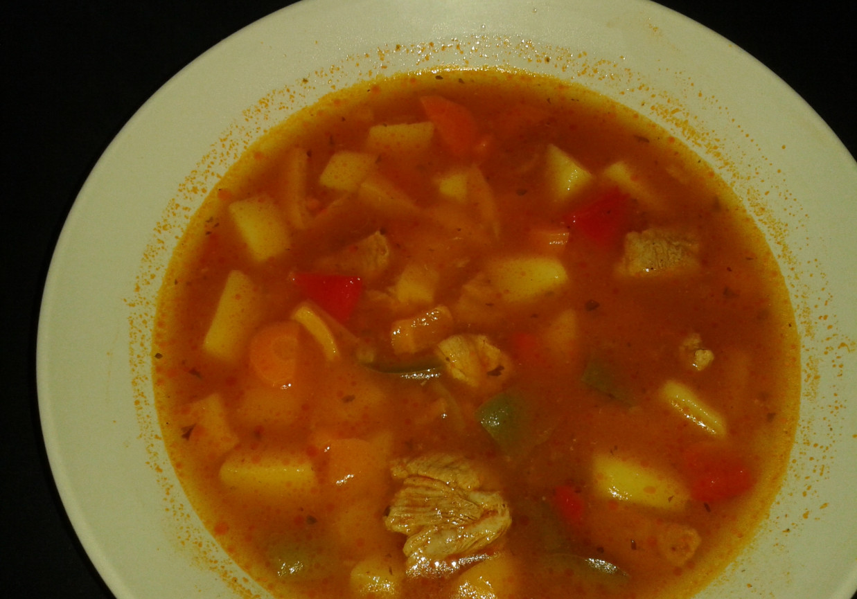 Pikantna zupa gulaszowa foto