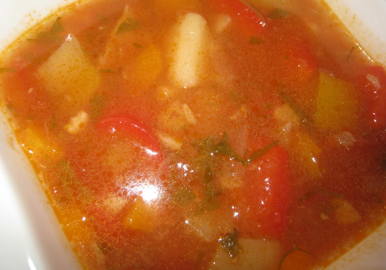 Pikantna zupa gulaszowa foto