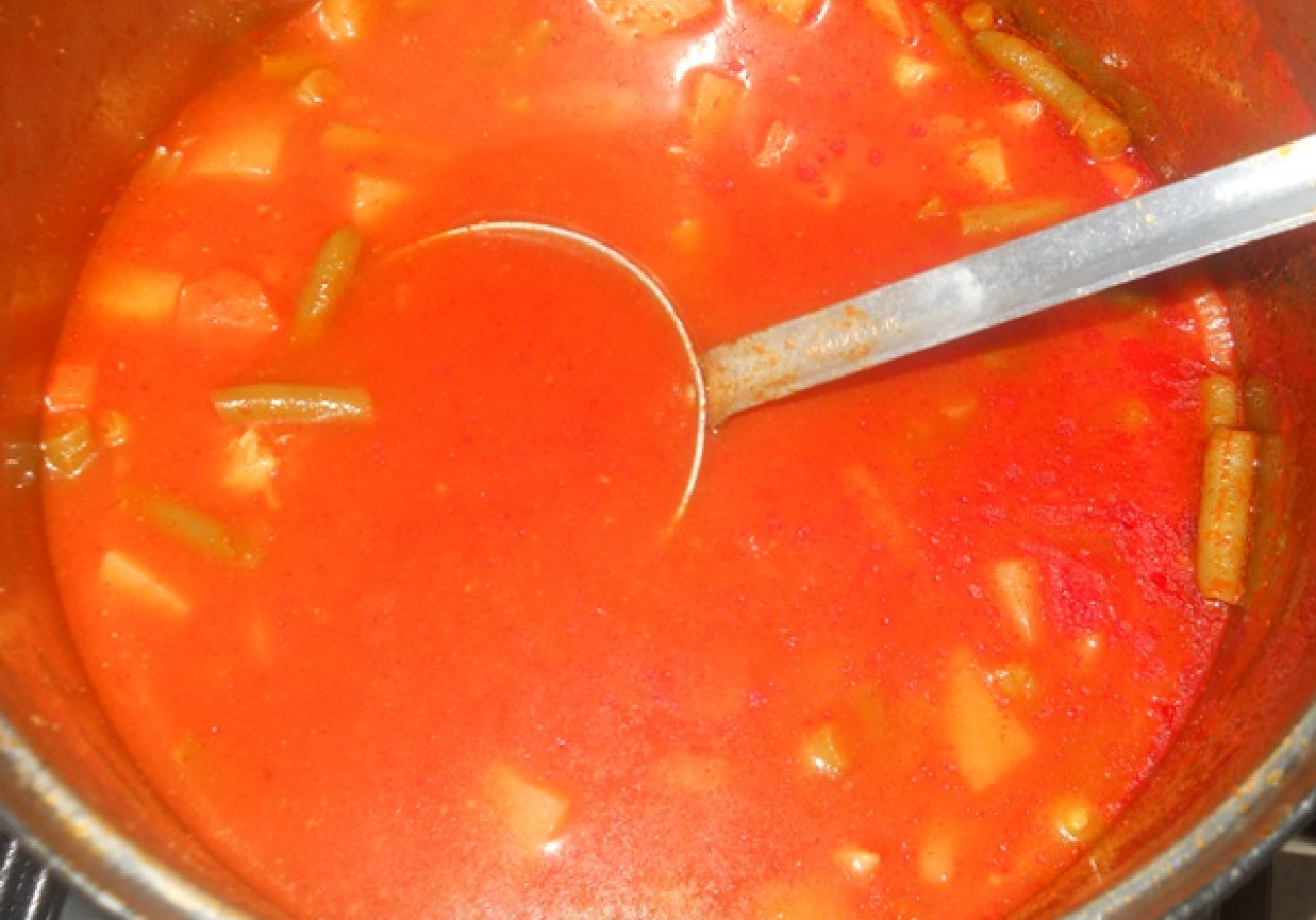 Pikantna zupa meksykańska z piersi kurczaka foto