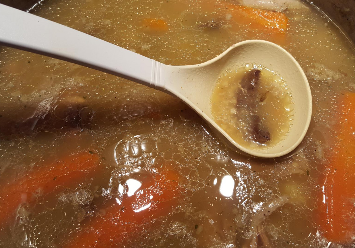 Pikantna zupa z leśnymi grzybami foto