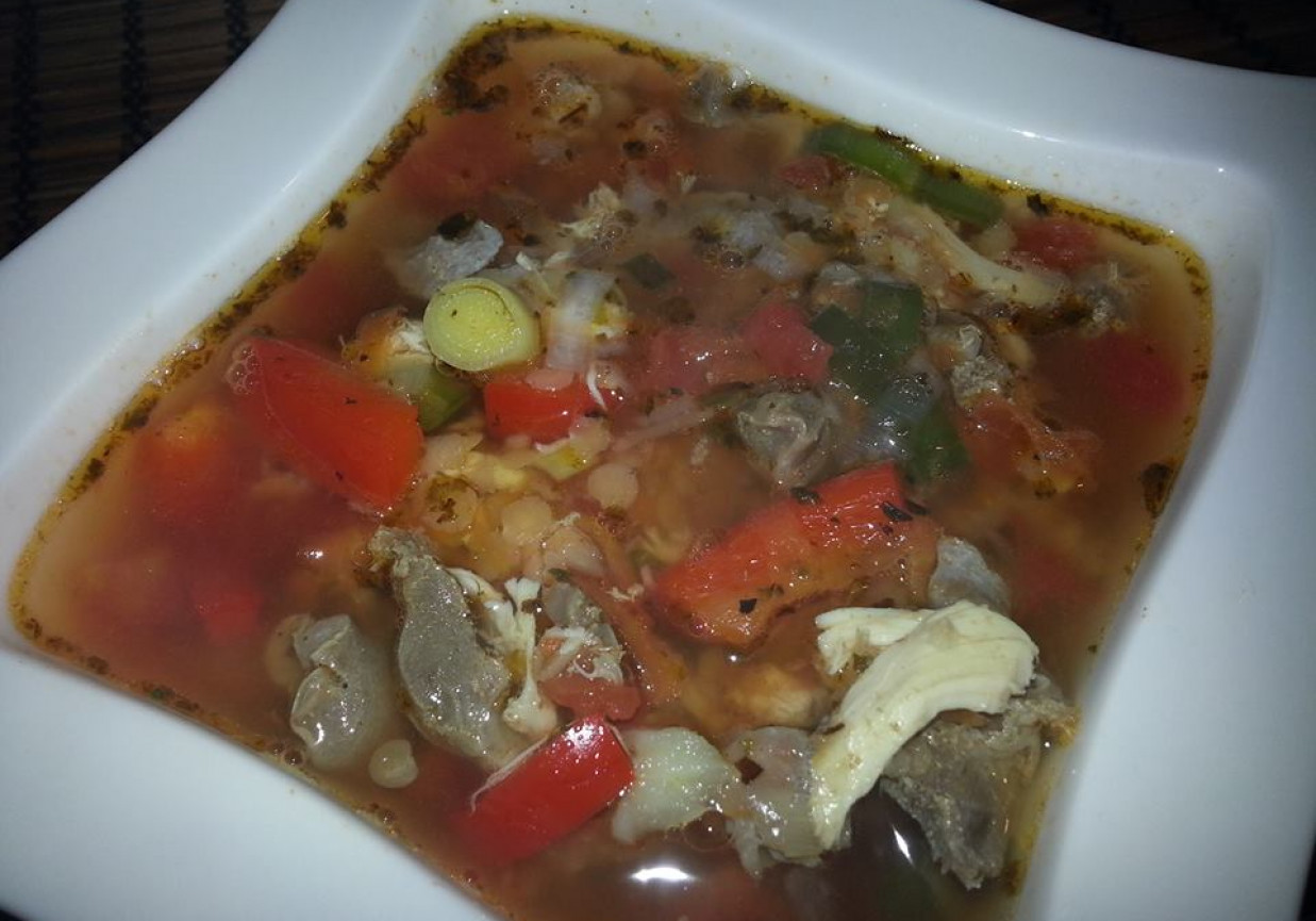 Pikantna Zupa z żołądków drobiowych z soczewicą. foto